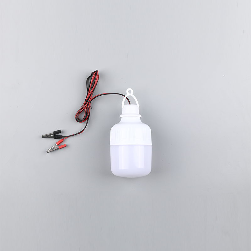 Led bulbo-dc12v 24v